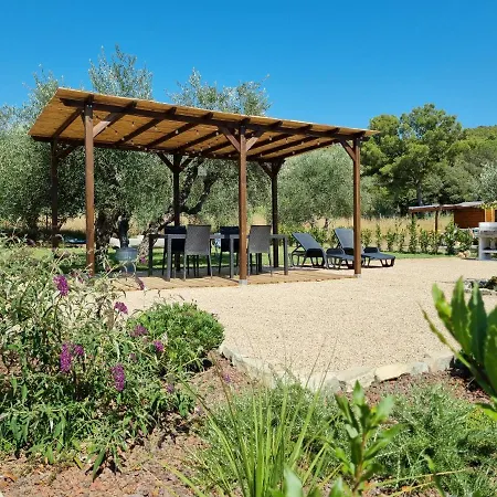 Sea ​​& Olive Trees * Quercianella
