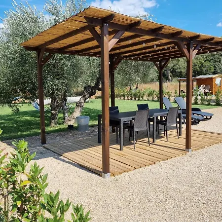 Apartment Sea ​​& Olive Trees Quercianella