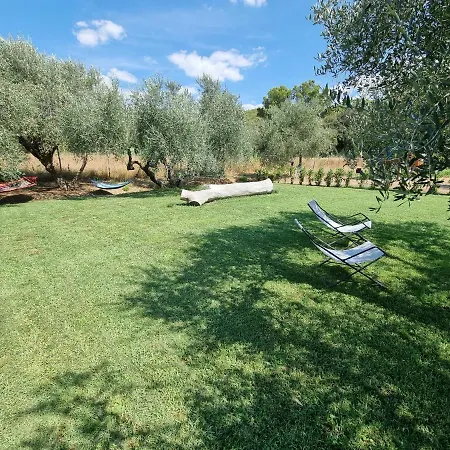 Sea ​​& Olive Trees Apartment Quercianella