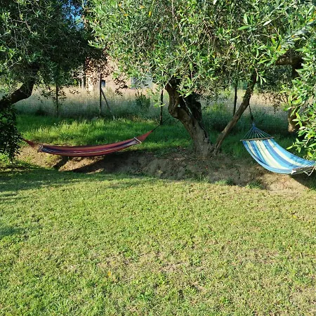Sea ​​& Olive Trees Apartment