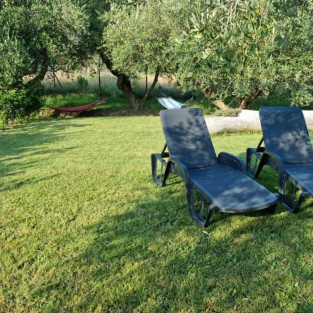 Sea ​​& Olive Trees Apartment *