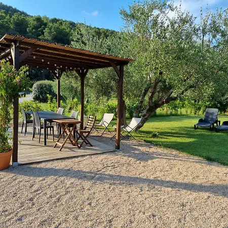 Sea ​​& Olive Trees
