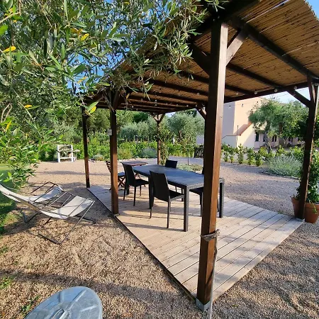 Sea ​​& Olive Trees
