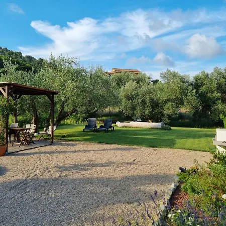 Sea ​​& Olive Trees Apartment *